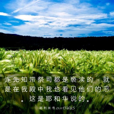 Picture 03 - 耶 利 米 书 23:11 CUVS - 连 先 知 带 祭 司 都 是 亵 渎 的 ， - Bible Verse Picture
