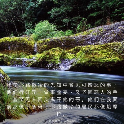 Picture 03 - 耶 利 米 书 23:14 CUVS - 我 在 耶 路 撒 冷 的 先 知 中 曾 见 - Bible Verse Picture