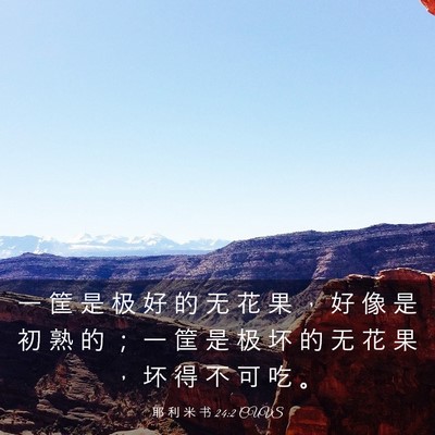 Picture 03 - 耶 利 米 书 24:2 CUVS - 一 筐 是 极 好 的 无 花 果 ， 好 像 - Bible Verse Picture