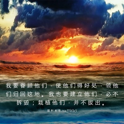Picture 03 - 耶 利 米 书 24:6 CUVS - 我 要 眷 顾 他 们 ， 使 他 们 得 好 - Bible Verse Picture