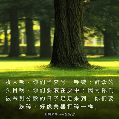 Picture 03 - 耶 利 米 书 25:34 CUVS - 牧 人 哪 ， 你 们 当 哀 号 ， 呼 喊 - Bible Verse Picture