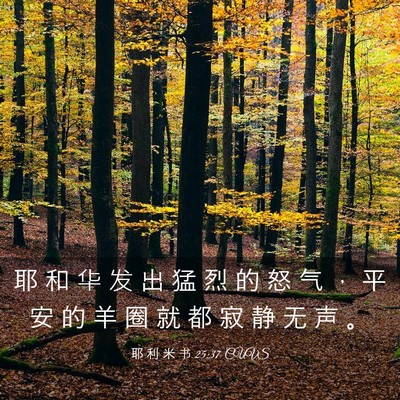 Picture 03 - 耶 利 米 书 25:37 CUVS - 耶 和 华 发 出 猛 烈 的 怒 气 ， 平 - Bible Verse Picture