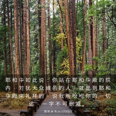 Picture 03 - 耶 利 米 书 26:2 CUVS - 耶 和 华 如 此 说 ： 你 站 在 耶 和 - Bible Verse Picture