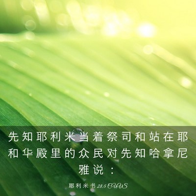 Picture 03 - 耶 利 米 书 28:5 CUVS - 先 知 耶 利 米 当 着 祭 司 和 站 在 - Bible Verse Picture