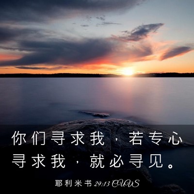 Picture 03 - 耶 利 米 书 29:13 CUVS - 你 们 寻 求 我 ， 若 专 心 寻 求 我 - Bible Verse Picture