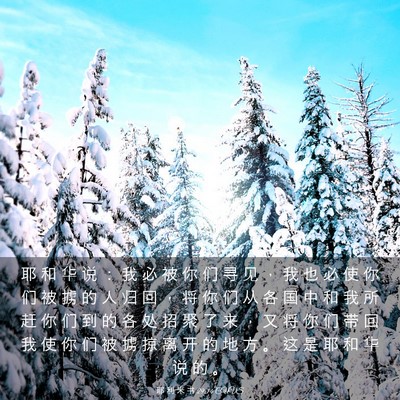 Picture 03 - 耶 利 米 书 29:14 CUVS - 耶 和 华 说 ： 我 必 被 你 们 寻 见 - Bible Verse Picture