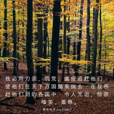 Picture 03 - 耶 利 米 书 29:18 CUVS - 我 必 用 刀 剑 、 饥 荒 、 瘟 疫 追 - Bible Verse Picture