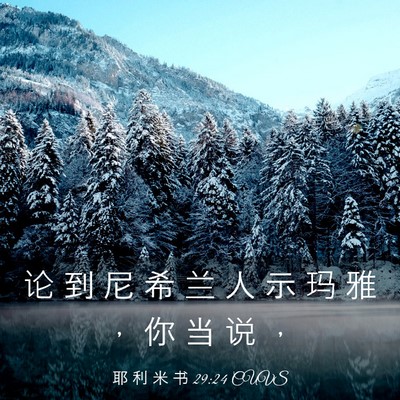 Picture 03 - 耶 利 米 书 29:24 CUVS - 论 到 尼 希 兰 人 示 玛 雅 ， 你 当 - Bible Verse Picture