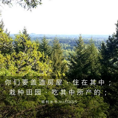 Picture 03 - 耶 利 米 书 29:5 CUVS - 你 们 要 盖 造 房 屋 ， 住 在 其 中 - Bible Verse Picture