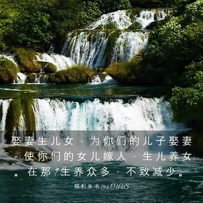 Picture 03 - 耶 利 米 书 29:6 CUVS - 娶 妻 生 儿 女 ， 为 你 们 的 儿 子 - Bible Verse Picture