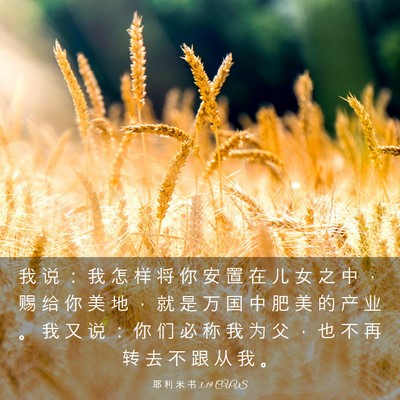 Picture 03 - 耶 利 米 书 3:19 CUVS - 我 说 ： 我 怎 样 将 你 安 置 在 儿 - Bible Verse Picture