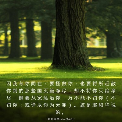 Picture 03 - 耶 利 米 书 30:11 CUVS - 因 我 与 你 同 在 ， 要 拯 救 你 ， - Bible Verse Picture