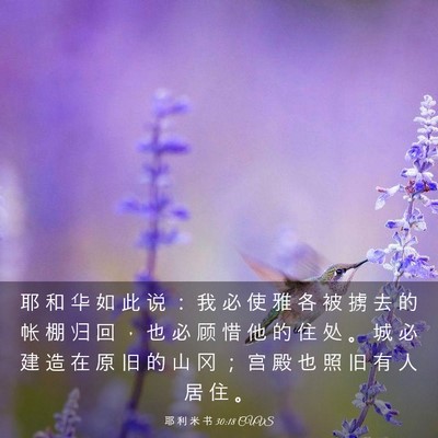 Picture 03 - 耶 利 米 书 30:18 CUVS - 耶 和 华 如 此 说 ： 我 必 使 雅 各 - Bible Verse Picture