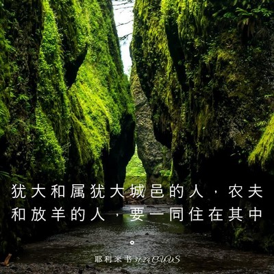 Picture 03 - 耶 利 米 书 31:24 CUVS - 犹 大 和 属 犹 大 城 邑 的 人 ， 农 - Bible Verse Picture