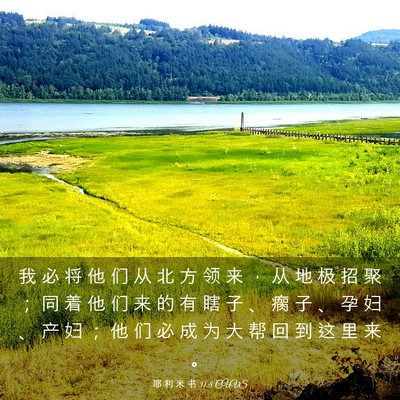 Picture 03 - 耶 利 米 书 31:8 CUVS - 我 必 将 他 们 从 北 方 领 来 ， 从 - Bible Verse Picture