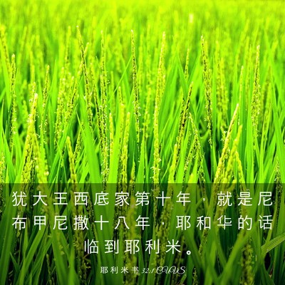 Picture 03 - 耶 利 米 书 32:1 CUVS - 犹 大 王 西 底 家 第 十 年 ， 就 是 - Bible Verse Picture