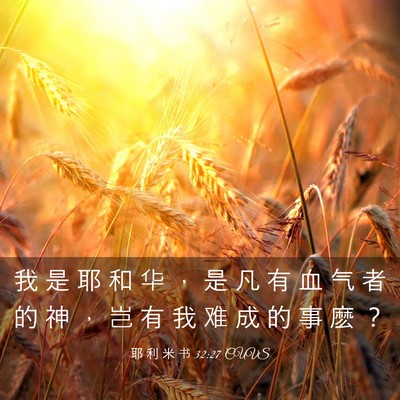 Picture 03 - 耶 利 米 书 32:27 CUVS - 我 是 耶 和 华 ， 是 凡 有 血 气 者 - Bible Verse Picture