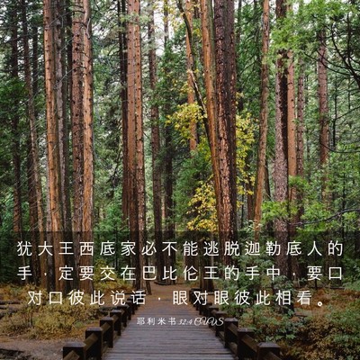 Picture 03 - 耶 利 米 书 32:4 CUVS - 犹 大 王 西 底 家 必 不 能 逃 脱 迦 - Bible Verse Picture