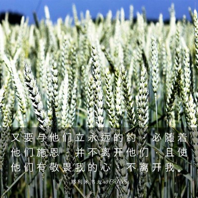 Picture 03 - 耶 利 米 书 32:40 CUVS - 又 要 与 他 们 立 永 远 的 约 ， 必 - Bible Verse Picture