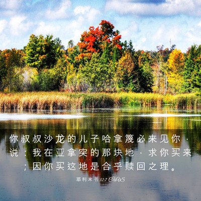 Picture 03 - 耶 利 米 书 32:7 CUVS - 你 叔 叔 沙 龙 的 儿 子 哈 拿 篾 必 - Bible Verse Picture