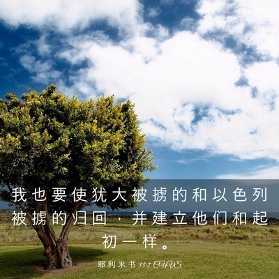 Picture 03 - 耶 利 米 书 33:7 CUVS - 我 也 要 使 犹 大 被 掳 的 和 以 色 - Bible Verse Picture