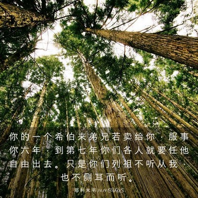 Picture 03 - 耶 利 米 书 34:14 CUVS - 你 的 一 个 希 伯 来 弟 兄 若 卖 给 - Bible Verse Picture