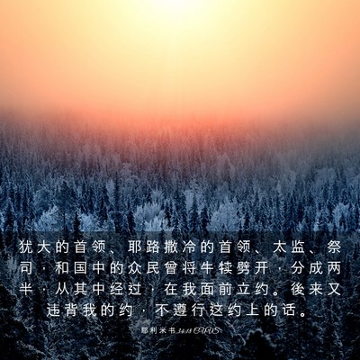 Picture 03 - 耶 利 米 书 34:18 CUVS - 犹 大 的 首 领 、 耶 路 撒 冷 的 首 - Bible Verse Picture