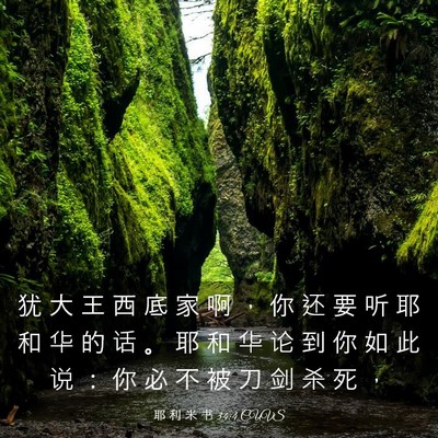 Picture 03 - 耶 利 米 书 34:4 CUVS - 犹 大 王 西 底 家 啊 ， 你 还 要 听 - Bible Verse Picture