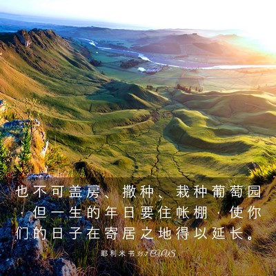 Picture 03 - 耶 利 米 书 35:7 CUVS - 也 不 可 盖 房 、 撒 种 、 栽 种 葡 - Bible Verse Picture