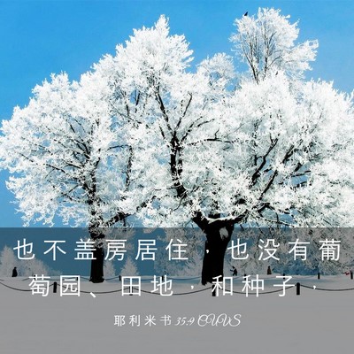 Picture 03 - 耶 利 米 书 35:9 CUVS - 也 不 盖 房 居 住 ， 也 没 有 葡 萄 - Bible Verse Picture