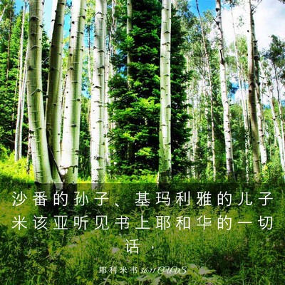 Picture 03 - 耶 利 米 书 36:11 CUVS - 沙 番 的 孙 子 、 基 玛 利 雅 的 儿 - Bible Verse Picture