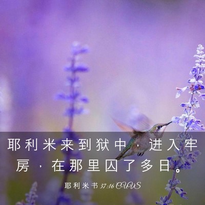 Picture 03 - 耶 利 米 书 37:16 CUVS - 耶 利 米 来 到 狱 中 ， 进 入 牢 房 - Bible Verse Picture