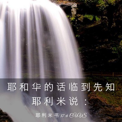 Picture 03 - 耶 利 米 书 37:6 CUVS - 耶 和 华 的 话 临 到 先 知 耶 利 米 - Bible Verse Picture