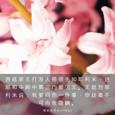 Picture 03 - 耶 利 米 书 38:14 CUVS - 西 底 家 王 打 发 人 带 领 先 知 耶 - Bible Verse Picture