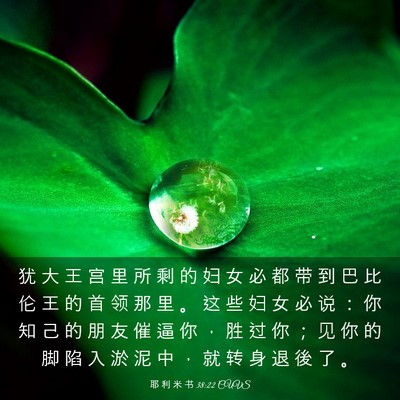 Picture 03 - 耶 利 米 书 38:22 CUVS - 犹 大 王 宫 里 所 剩 的 妇 女 必 都 - Bible Verse Picture