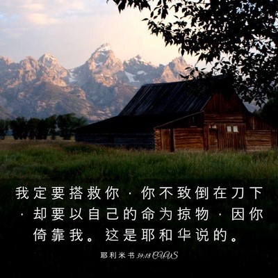 Picture 03 - 耶 利 米 书 39:18 CUVS - 我 定 要 搭 救 你 ， 你 不 致 倒 在 - Bible Verse Picture