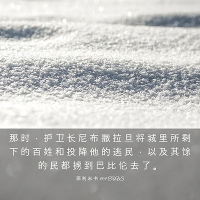 Picture 03 - 耶 利 米 书 39:9 CUVS - 那 时 ， 护 卫 长 尼 布 撒 拉 旦 将 - Bible Verse Picture