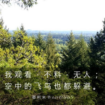 Picture 03 - 耶 利 米 书 4:25 CUVS - 我 观 看 ， 不 料 ， 无 人 ； 空 中 - Bible Verse Picture