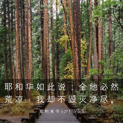 Picture 03 - 耶 利 米 书 4:27 CUVS - 耶 和 华 如 此 说 ： 全 地 必 然 荒 - Bible Verse Picture