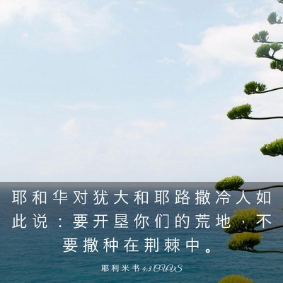 Picture 03 - 耶 利 米 书 4:3 CUVS - 耶 和 华 对 犹 大 和 耶 路 撒 冷 人 - Bible Verse Picture
