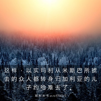 Picture 03 - 耶 利 米 书 41:14 CUVS - 这 样 ， 以 实 玛 利 从 米 斯 巴 所 - Bible Verse Picture