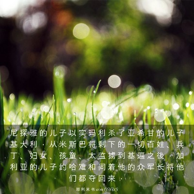Picture 03 - 耶 利 米 书 41:16 CUVS - 尼 探 雅 的 儿 子 以 实 玛 利 杀 了 - Bible Verse Picture