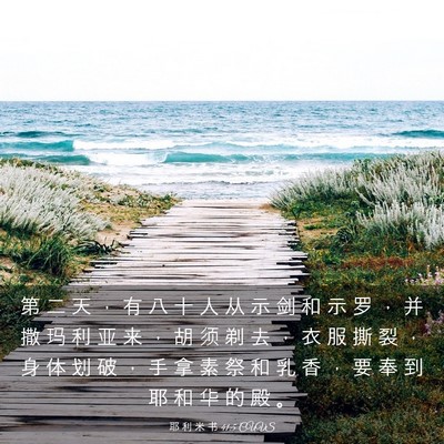 Picture 03 - 耶 利 米 书 41:5 CUVS - 第 二 天 ， 有 八 十 人 从 示 剑 和 - Bible Verse Picture