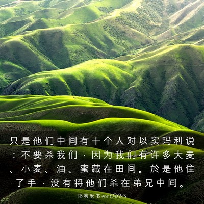 Picture 03 - 耶 利 米 书 41:8 CUVS - 只 是 他 们 中 间 有 十 个 人 对 以 - Bible Verse Picture