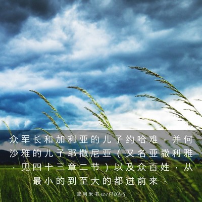 Picture 03 - 耶 利 米 书 42:1 CUVS - 众 军 长 和 加 利 亚 的 儿 子 约 哈 - Bible Verse Picture