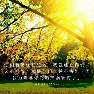 Picture 03 - 耶 利 米 书 42:10 CUVS - 你 们 若 仍 住 在 这 地 ， 我 就 建 - Bible Verse Picture