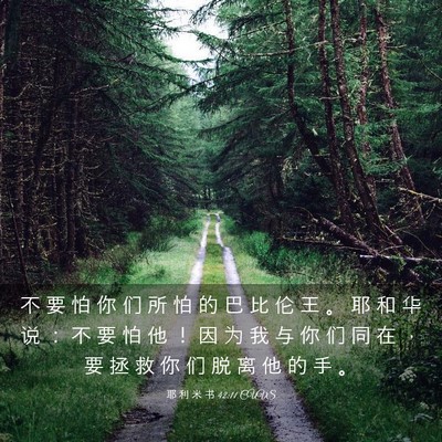 Picture 03 - 耶 利 米 书 42:11 CUVS - 不 要 怕 你 们 所 怕 的 巴 比 伦 王 - Bible Verse Picture