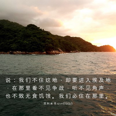 Picture 03 - 耶 利 米 书 42:14 CUVS - 说 ： 我 们 不 住 这 地 ， 却 要 进 - Bible Verse Picture