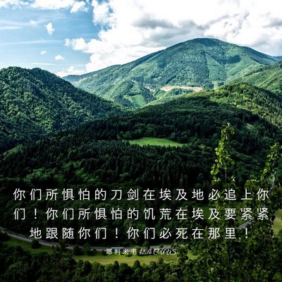 Picture 03 - 耶 利 米 书 42:16 CUVS - 你 们 所 惧 怕 的 刀 剑 在 埃 及 地 - Bible Verse Picture