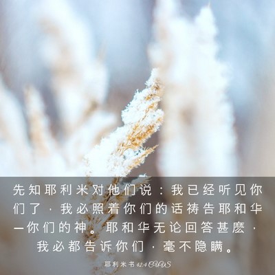 Picture 03 - 耶 利 米 书 42:4 CUVS - 先 知 耶 利 米 对 他 们 说 ： 我 已 - Bible Verse Picture
